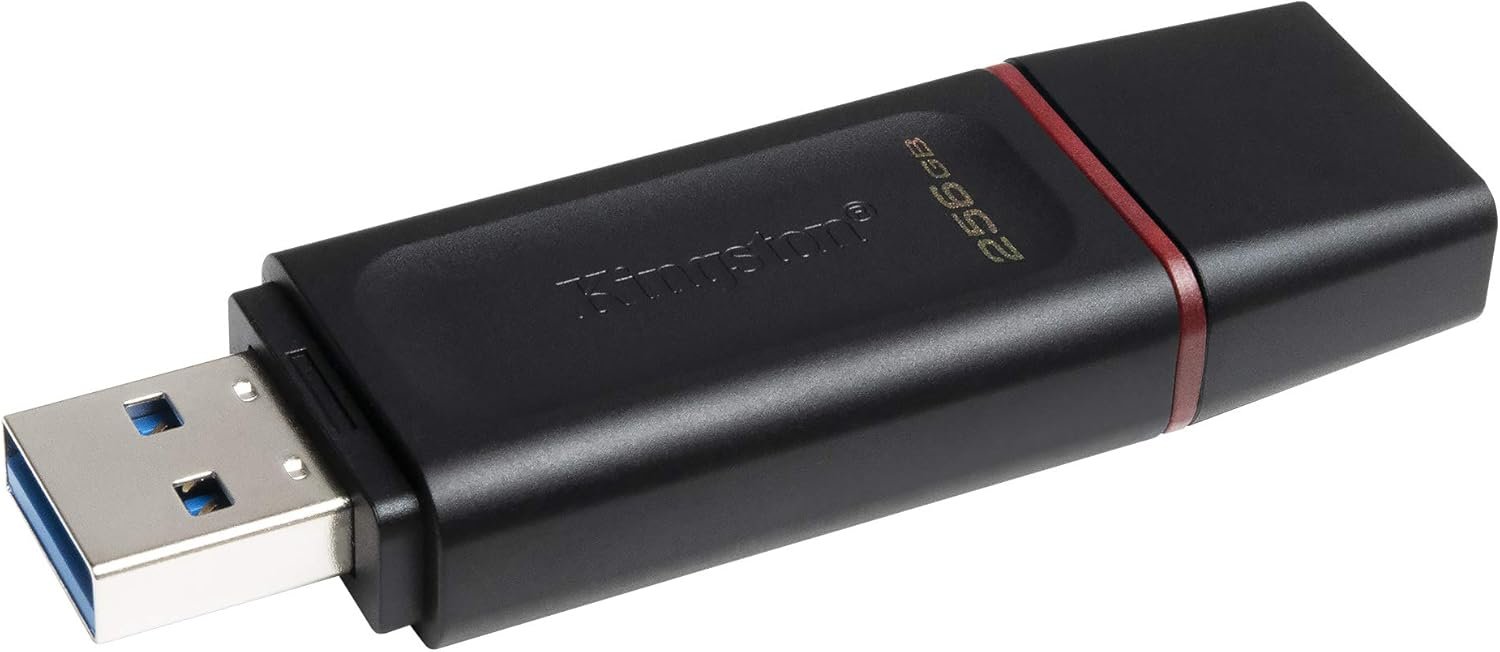 71-L0J4+1pL._AC_SL1500_ ذاكرة فلاش داتا ترافيلر اكسوديا 256GB USB 3.2 DTX/256GB من كينجستون - الصورة 1